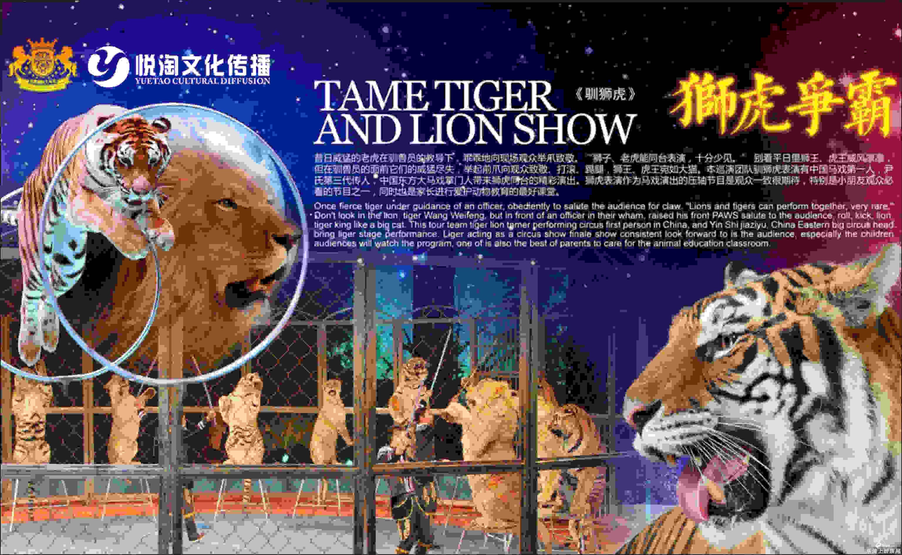 我要去看茜廉马戏团 我想看狮虎争霸
