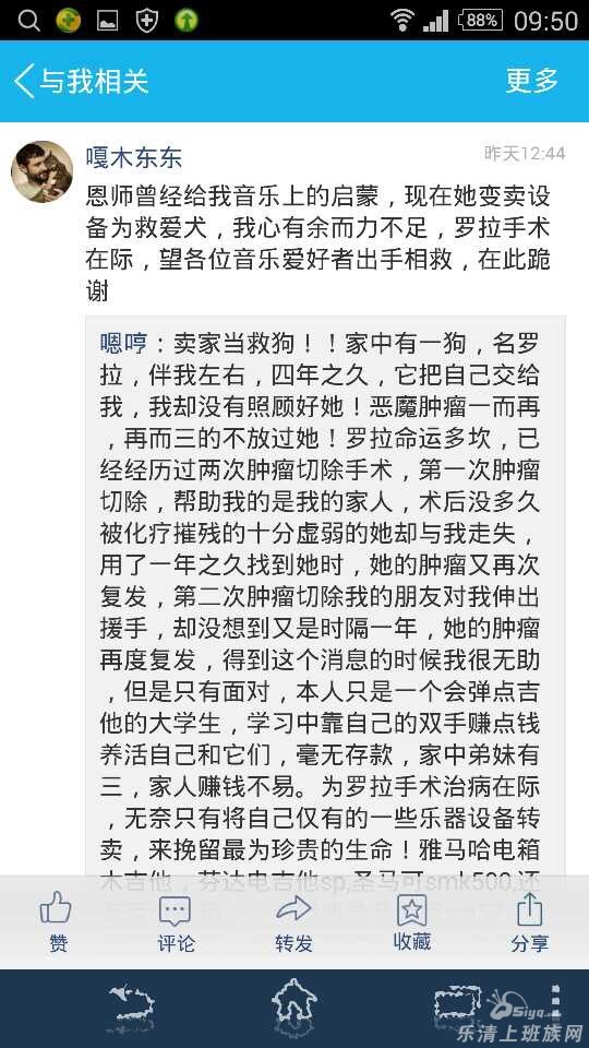 一位爱狗人士的故事
