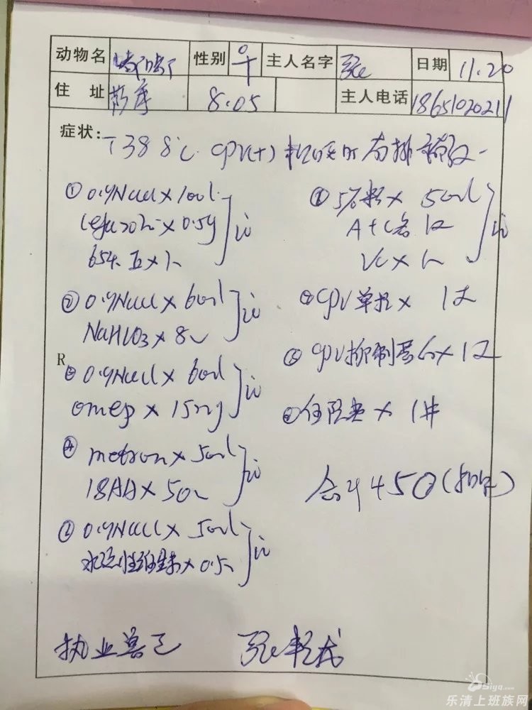 萨摩曲谱_小萨摩(3)