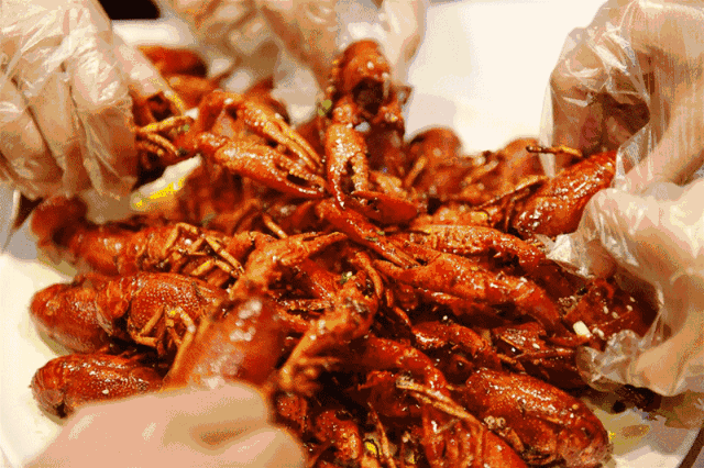 线下活动第8弹——江湖虾说龙虾招募