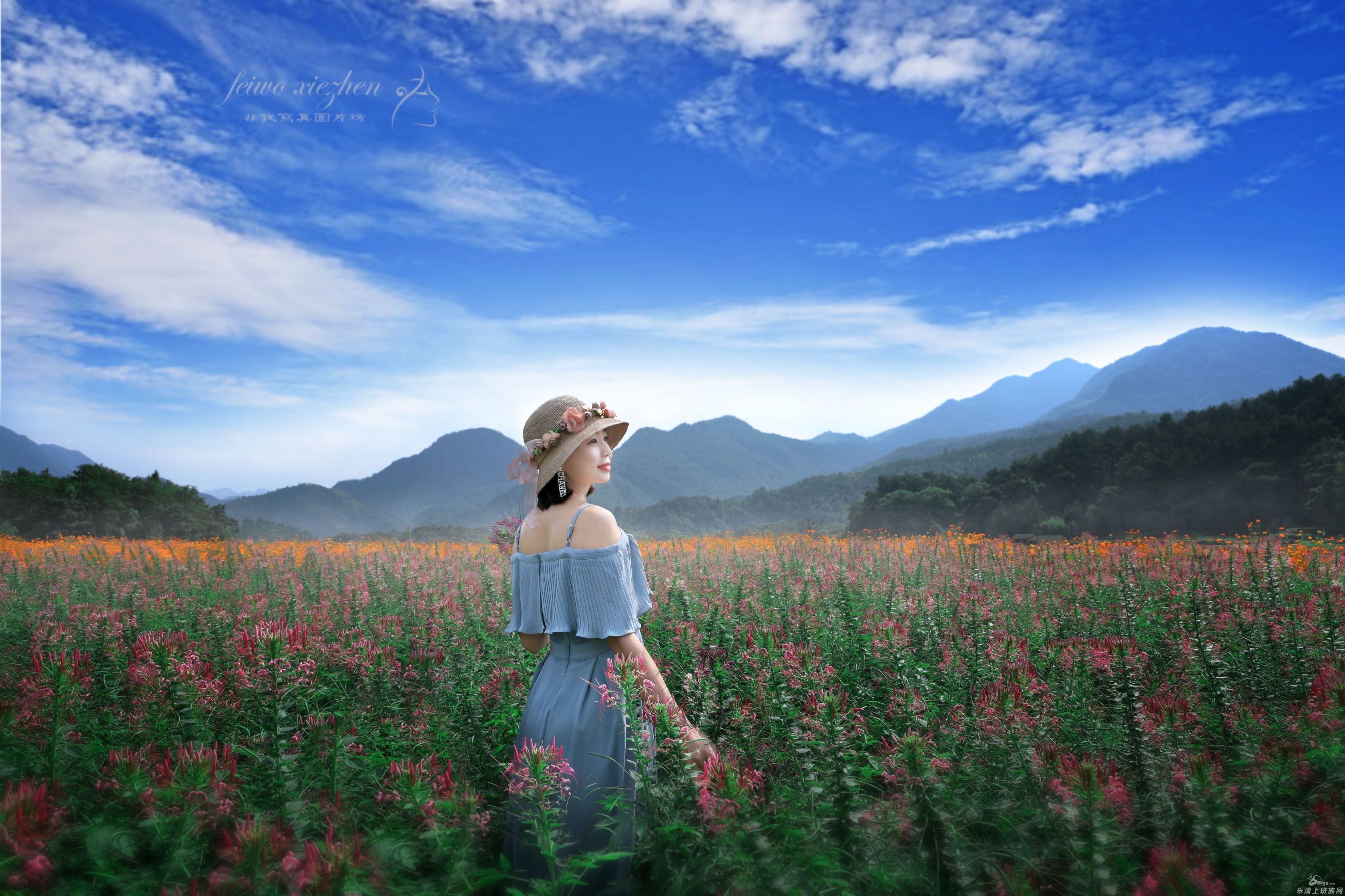 《花海美女》唯美人像写真(永嘉岩坦花海,芙蓉古村)