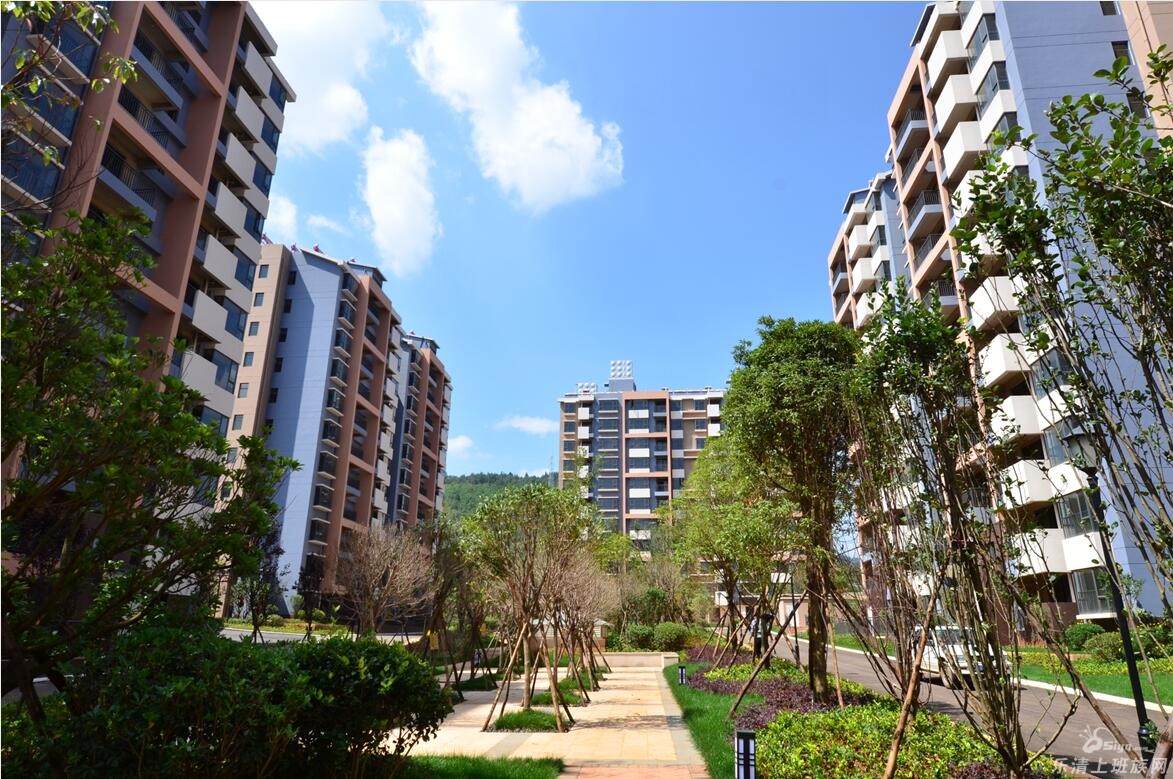 想在乐清买个学区安置房:这4个小区选择哪个合适? - 乐清楼市 - 乐清上班族网 - Powered by Discuz!