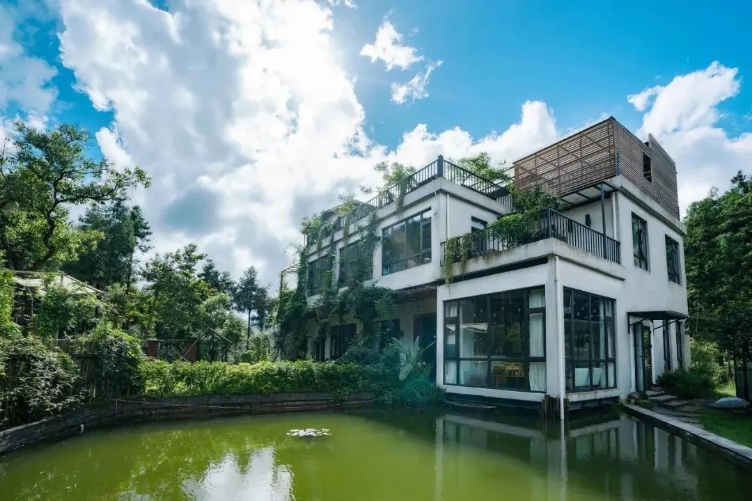 文旅专家齐聚,共谋乐清文旅发展 - 乐清之窗 - 乐清上班族网 - Powered by Discuz!