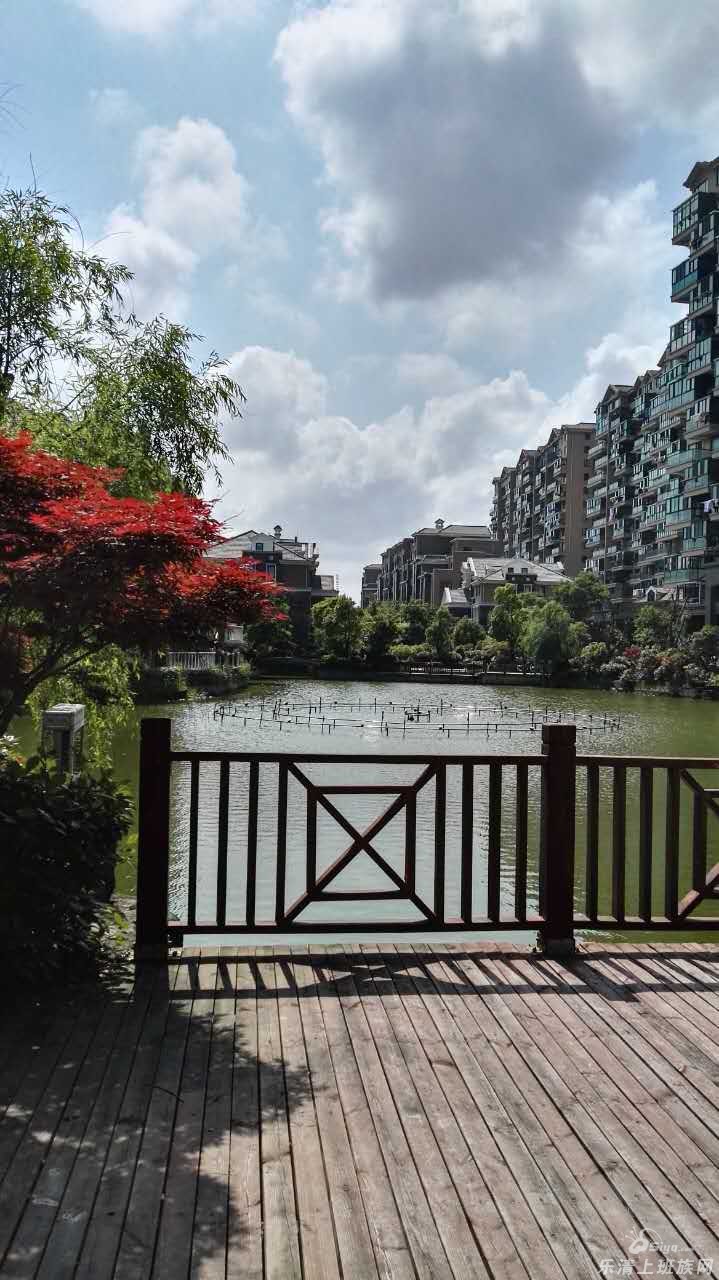 豪华装修楼盘出售:中驰湖滨花园