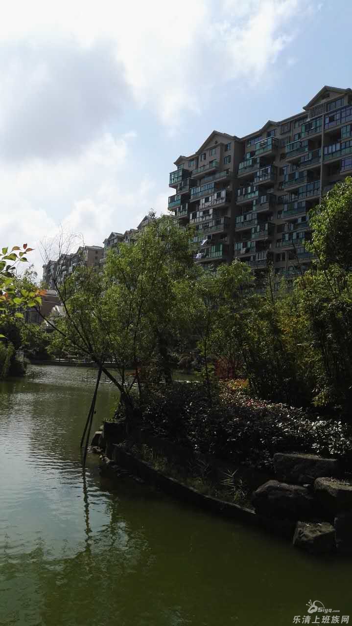 豪华装修楼盘出售:中驰湖滨花园