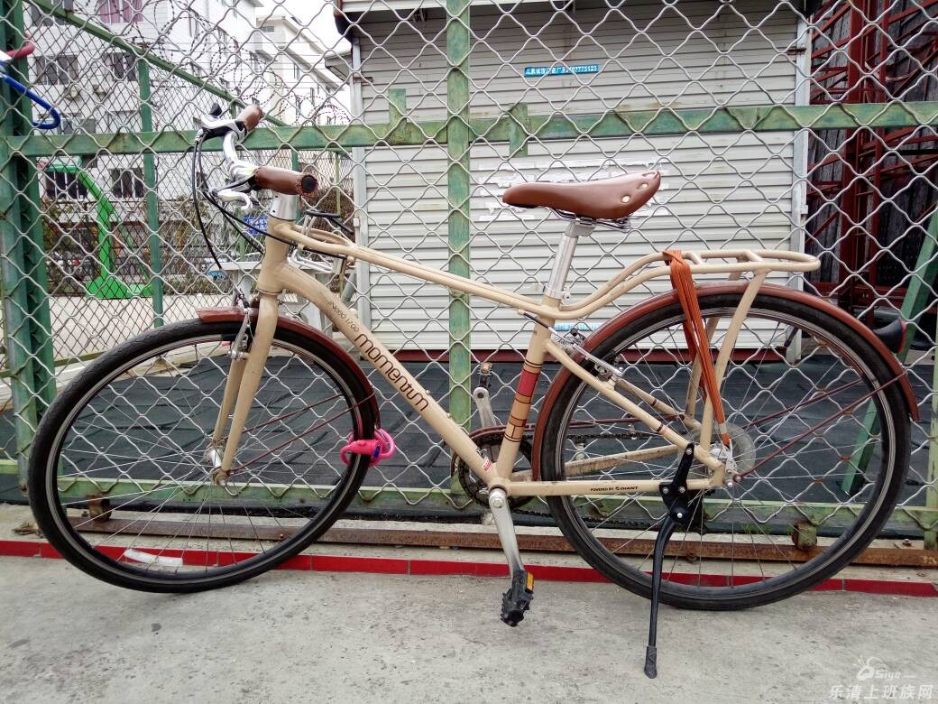 捷安特复古风自行车